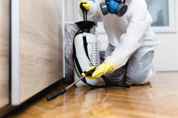 Best Flea Control Services  in Oconto Falls, WI