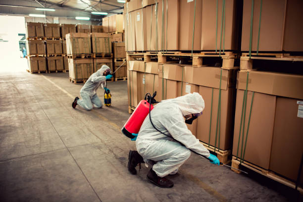 Best Cockroach Control Services  in Oconto Falls, WI