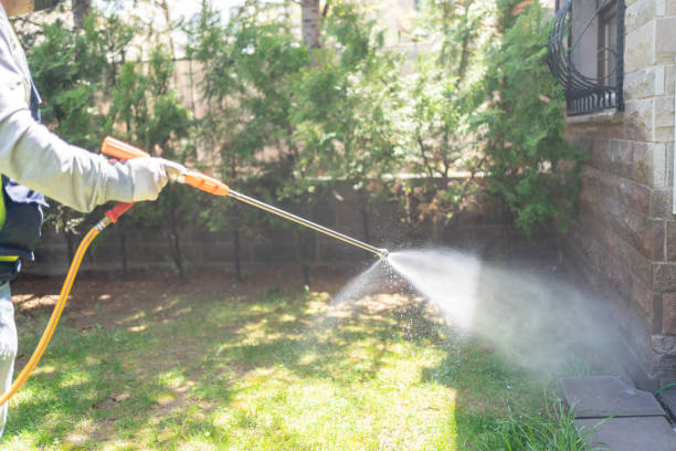 Best Ant Control Services  in Oconto Falls, WI